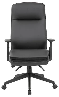 Boss Office Products Caressoft Executive Ergonomic High-Back Chair, Black