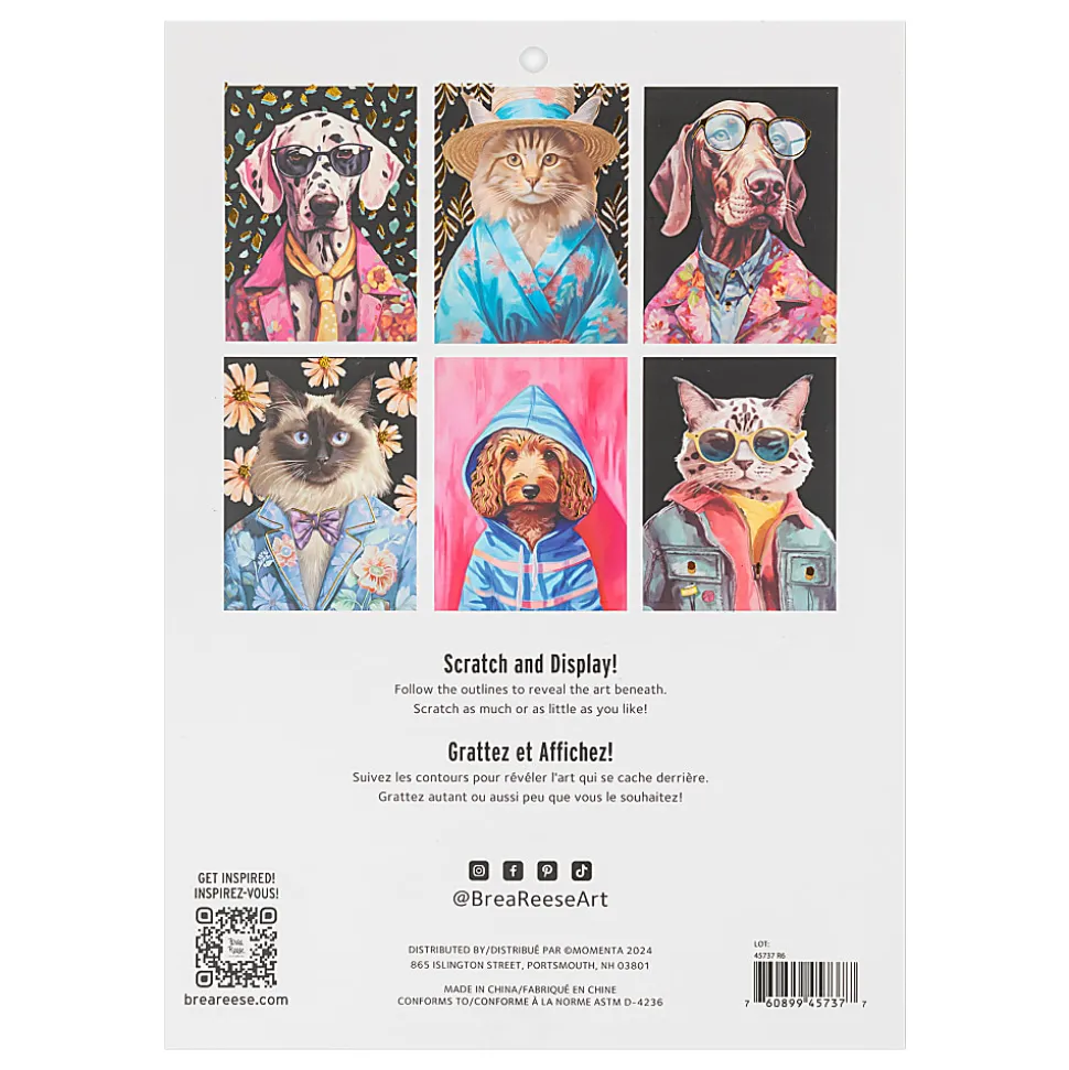 Brea Reese® Scratch Art Paper Pad Kit, 9” x 12”, Pet Fashion Portraits