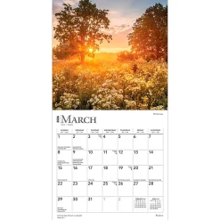 2026 BrownTrout Psalms Monthly Mini Wall Calendar, 7