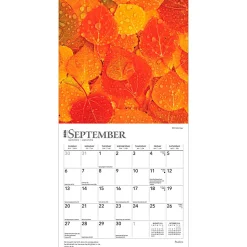 2026 BrownTrout Psalms Monthly Mini Wall Calendar, 7
