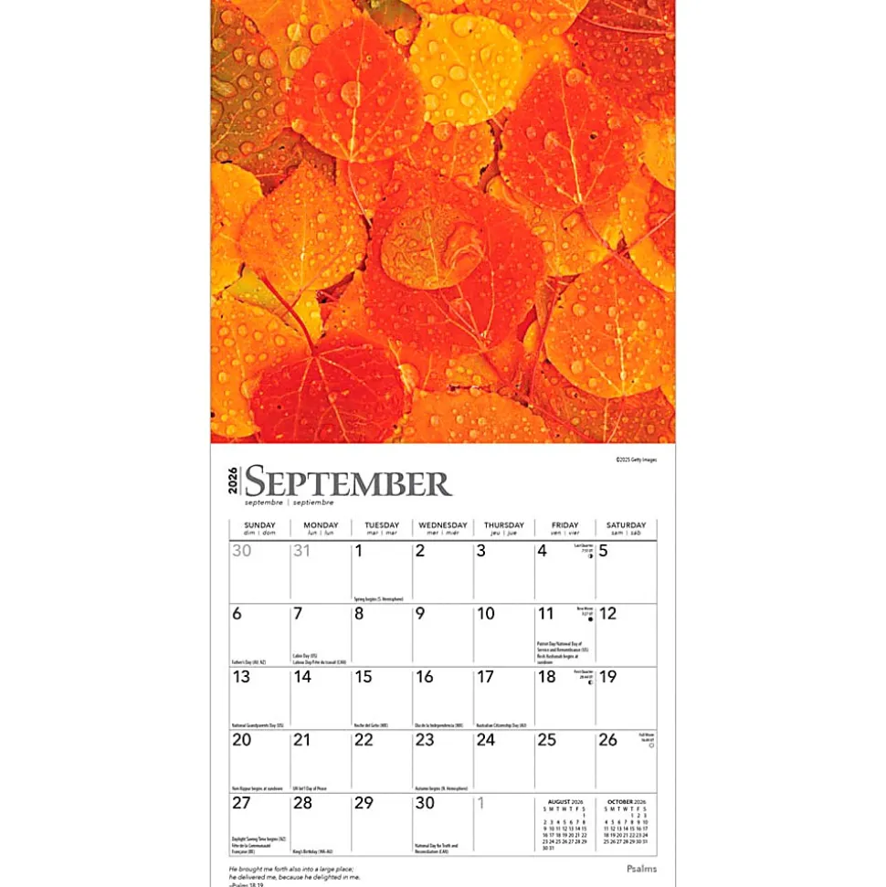 2026 BrownTrout Psalms Monthly Mini Wall Calendar, 7" x 7", Inspiration, January to December 2026, 9798330705191