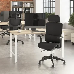 Bush Business Furniture Align Fabric High Back Ergonomic Office Chair with Lumbar Support, Black Nylon Mesh, Standard Deliver Service