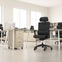 Bush Business Furniture Align Fabric High Back Ergonomic Office Chair with Lumbar Support, Black Nylon Mesh, Standard Deliver Service