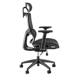 Bush Business Furniture Align Fabric High Back Ergonomic Office Chair with Lumbar Support, Black Nylon Mesh, Standard Deliver Service