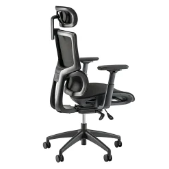 Bush Business Furniture Align Fabric High Back Ergonomic Office Chair with Lumbar Support, Black Nylon Mesh, Standard Deliver Service