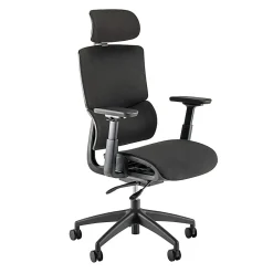 Bush Business Furniture Align Fabric High Back Ergonomic Office Chair with Lumbar Support, Black Nylon Mesh, Standard Deliver Service