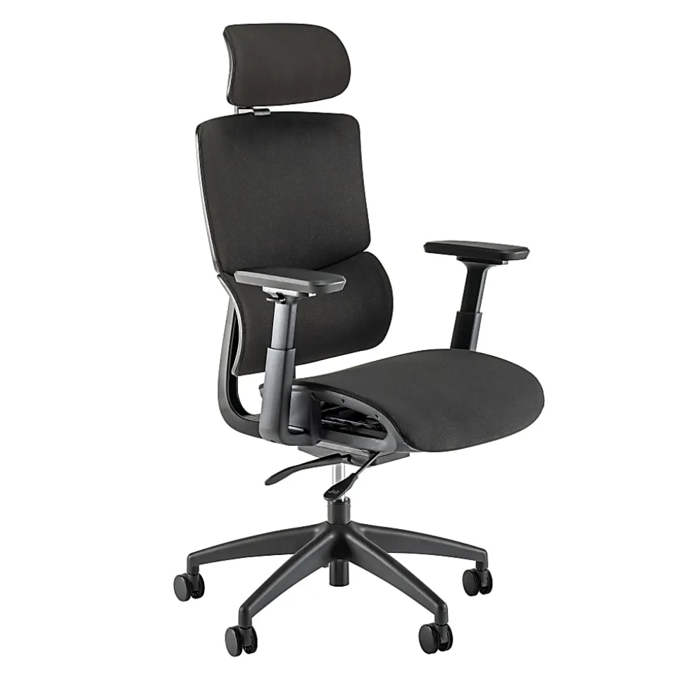 Bush Business Furniture Align Fabric High Back Ergonomic Office Chair with Lumbar Support, Black Nylon Mesh, Standard Deliver Service