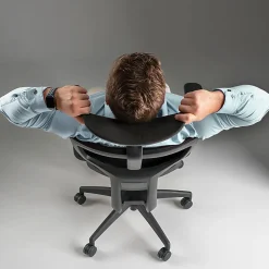 Bush Business Furniture Align Fabric High Back Ergonomic Office Chair with Lumbar Support, Black Nylon Mesh, Standard Deliver Service