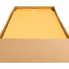 Business Source Heavy-duty Clasp Envelopes - Clasp - #90 - 9" Width x 12" Length - 28 lb - Clasp - Kraft - Kraft - 100 / Box