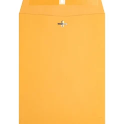Business Source Heavy-duty Clasp Envelopes - Clasp - #90 - 9