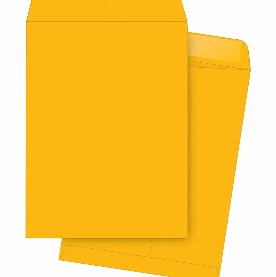 Business Source Kraft Gummed Catalog Envelopes - Catalog - #13 1/2 - 10" Width x 13" Length - 28 lb - Gummed - Kraft - Kraft - 250 / Box