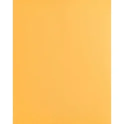 Business Source Kraft Gummed Catalog Envelopes - Catalog - #10 1/2 - 9