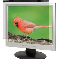 Business Source 19"-20" LCD Monitor Antiglare Filter Black - For 19" , 20" LCD Monitor - 5:4 - Acrylic - Anti-glare - 1 Each