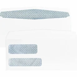 Business Source No. 9 Double Window Invoice Envelopes - Double Window - #9 - 8 7/8