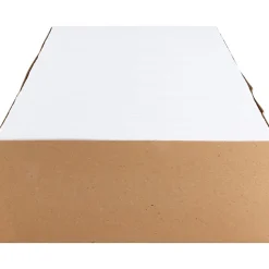 Business Source No. 9 Double Window Invoice Envelopes - Double Window - #9 - 8 7/8