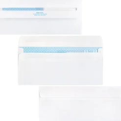 Business Source No. 9 Double Window Invoice Envelopes - Double Window - #9 - 8 7/8