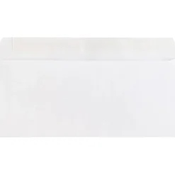 Business Source Plain Peel/Seal Business Envelopes - Business - #10 - 9 1/2