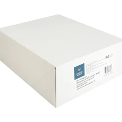 Business Source Regular Tint Peel/Seal Envelopes - Business - #10 - 9 1/2