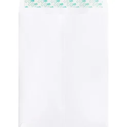 Business Source Self Sealing Catalog Envelope - Catalog - 9
