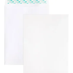 Business Source Self Sealing Catalog Envelope - Catalog - 9