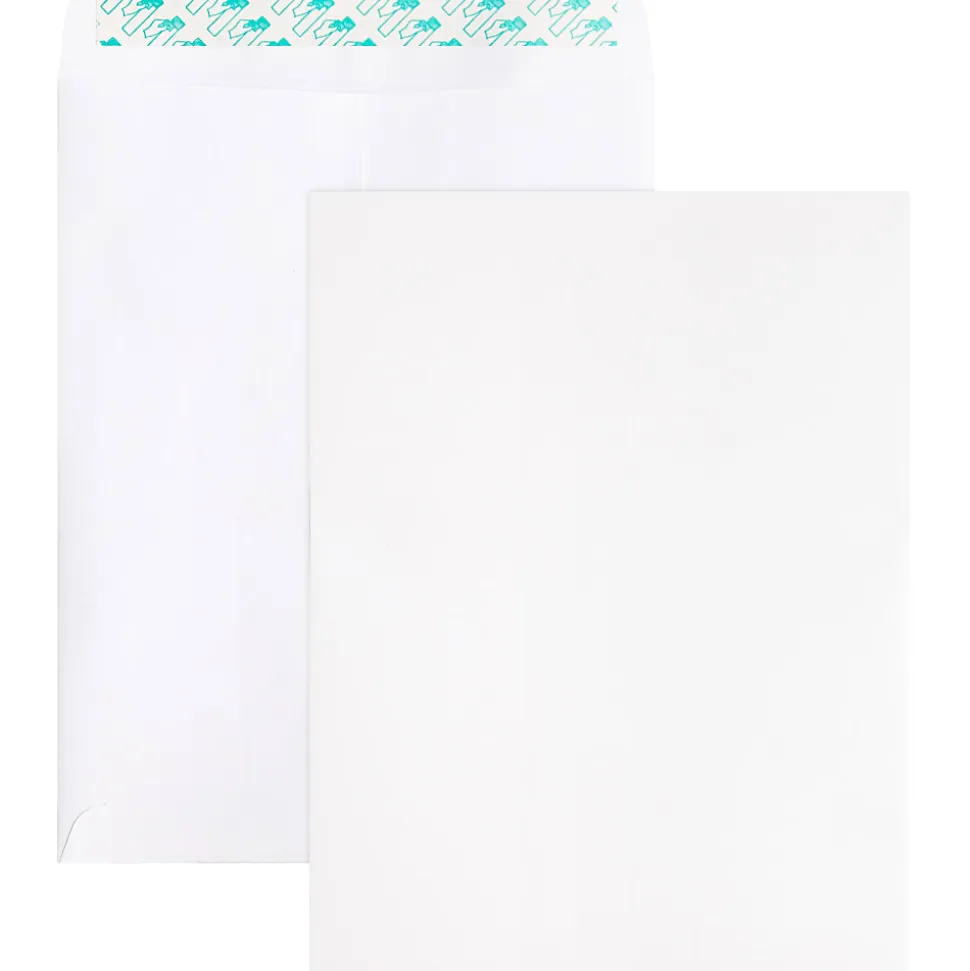Business Source Self Sealing Catalog Envelope - Catalog - 9" Width x 12" Length - 28 lb - Peel & Seal - White - Wove - 100 / Box