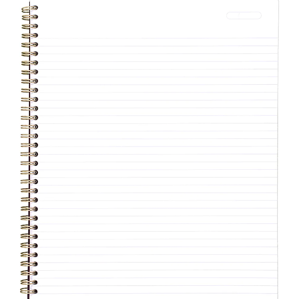 Cambridge® Fashion Twin-Wire Business Notebook, 9" x 11", College Ruled, 80 Sheets, 30% Recycled, Purple (49567)