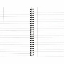 Cambridge® Limited® 30% Recycled Business Notebook, 4 7/8