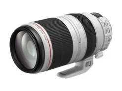 Canon EF - Telephoto zoom lens - 100 mm - 400 mm - f/4.5-5.6 L IS II USM - Canon EF