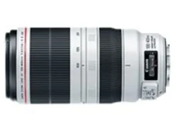 Canon EF - Telephoto zoom lens - 100 mm - 400 mm - f/4.5-5.6 L IS II USM - Canon EF