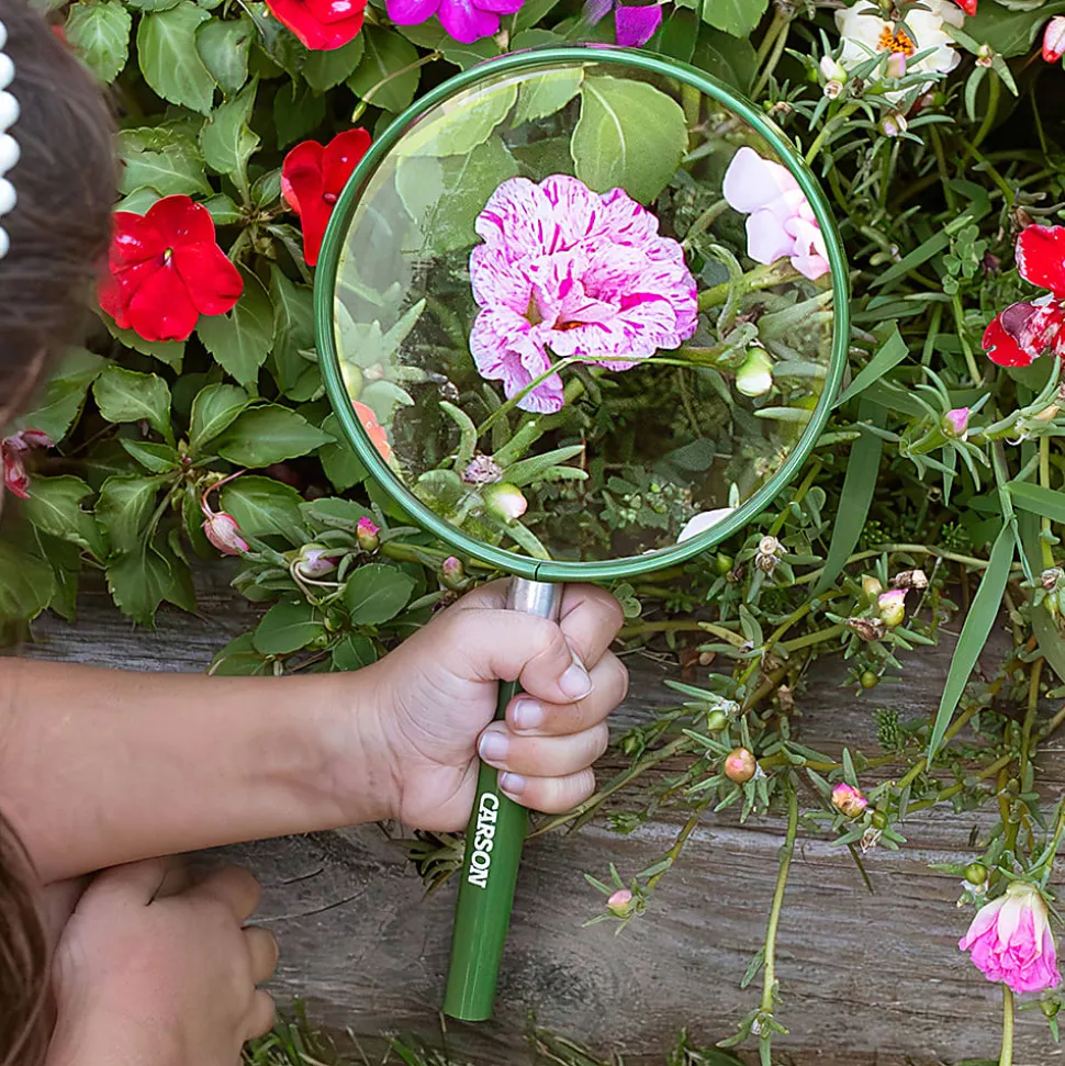 CARSON® 5-In. BigEye™ 2x Round Handheld Magnifier, Green, 1