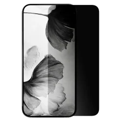 cellhelmet® Privacy Tempered Glass with Alignment Tray for iPhone® 17/16 Pro, SP-106-C000