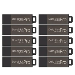 Centon DataStick Pro USB 2.0 Flash Drives, 2GB, Gray, Pack Of 10 Drives