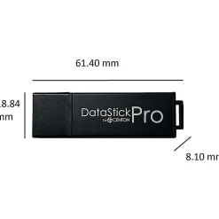 Centon DataStick Pro USB 2.0 Flash Drive, 4GB, Gray