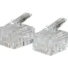 C2G RJ11 6x4 Modular Plug for Round Solid Cable - 50pk - RJ-11