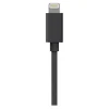 ChargeTech - Power cable - Lightning (M) - 5 V - 2.4 A - 50.8 cm - retractable - for Apple iPad/iPhone/iPod (Lightning)
