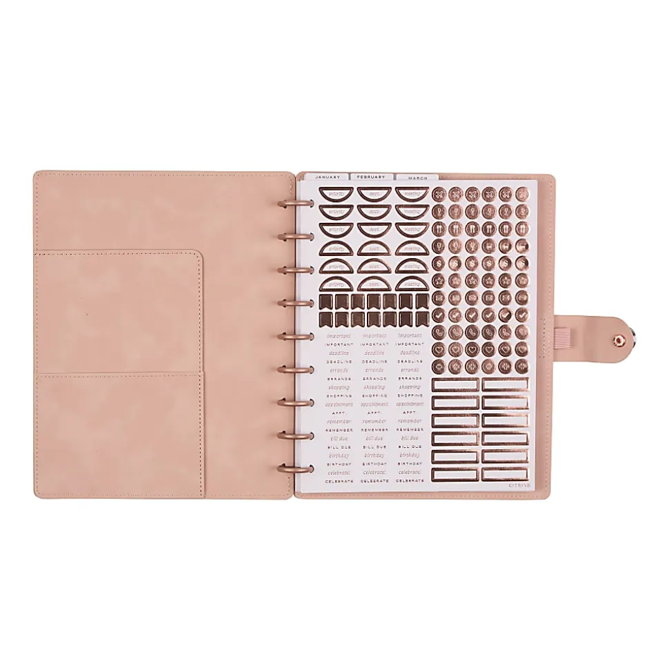 2026 Citrine Monthly/Weekly Classic Disc Bound Planner, 7" x 9-1/4", Blush, January To December, PD0123C008