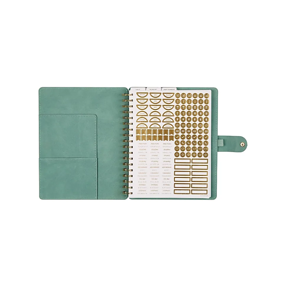 Citrine 12-Month Monthly/Weekly Classic Customizable Twin Loop Planner, 7" x 9-1/4", Sage Waves, July 2026-June 2027, Total Qty 1