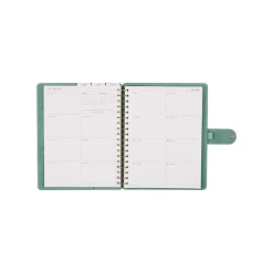 Citrine 12-Month Monthly/Weekly Classic Customizable Twin Loop Planner, 7