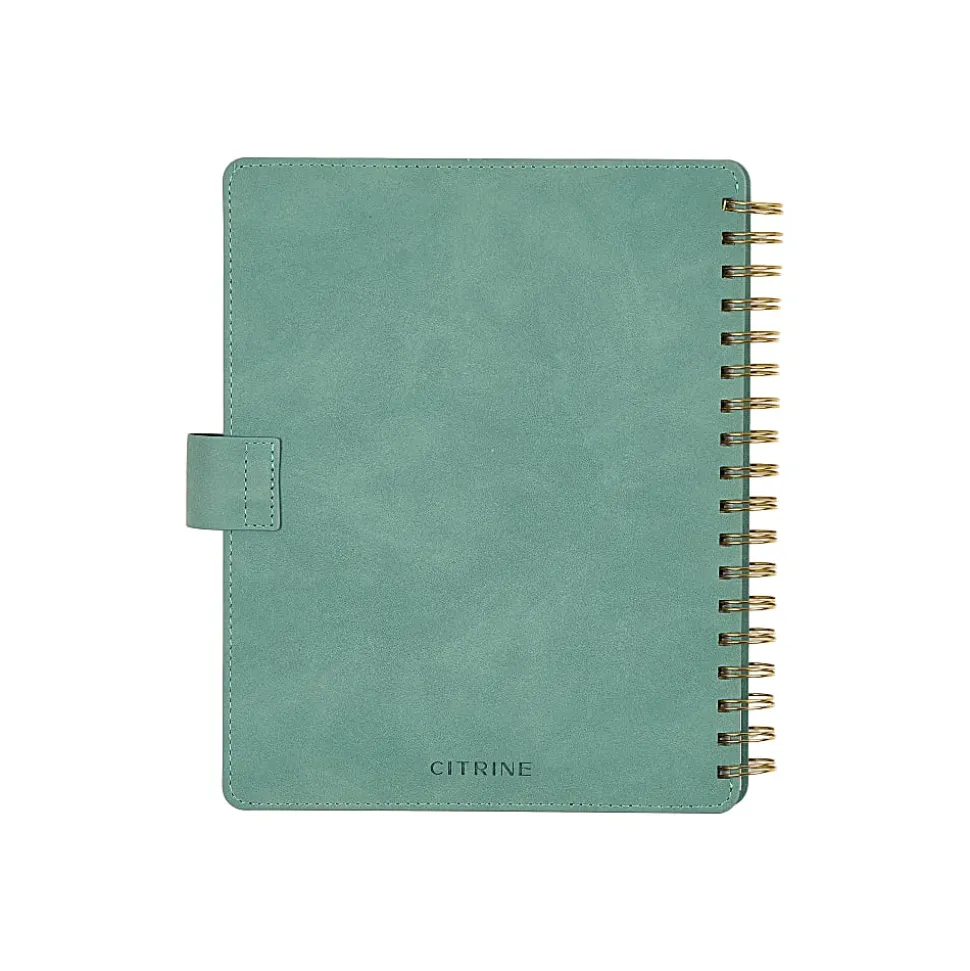 Citrine 12-Month Monthly/Weekly Classic Customizable Twin Loop Planner, 7" x 9-1/4", Sage Waves, July 2026-June 2027, Total Qty 1