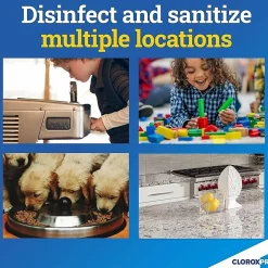 CloroxPro Clorox Pro Commercial Solutions Anywhere Hard Surface Sanitizing Spray, 32 Oz, Carton Of 12 Bottles