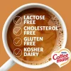 Coffee mate Original Powdered Coffee Creamer Canister - Original Flavor - 11 oz Canister - 12 / Carton - 1860 Serving