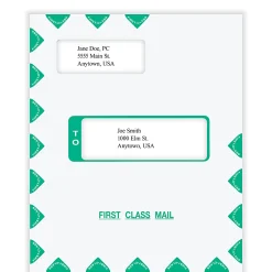 ComplyRight® Tax Mailer Envelope, Double Offset Windows, White/Green, Self-Seal, 9-5/8