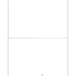 ComplyRight® W-2 Blank Tax Forms, 2-Up, With Backer Instructions, 8-1/2" x 11", Pack Of 100 Forms