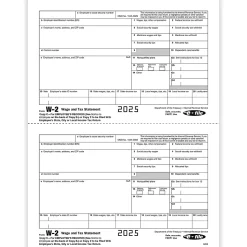 ComplyRight® W-2 Tax Forms, Employee’s Copy C and/or State, City Or Local Copy 2, 2-Up, 8-1/2" x 11", Pack Of 100 Forms