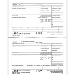 ComplyRight® W-2 Tax Forms, Employer’s Copy D and/or State, City Or Local Copy 2, 2-Up, 8-1/2" x 11", Pack Of 1,000 Forms