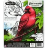 Crayola 40pg. Bird Watching Coloring