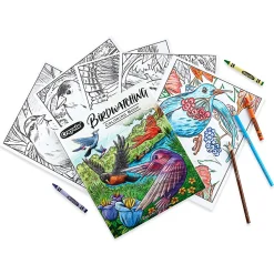 Crayola 40pg. Bird Watching Coloring