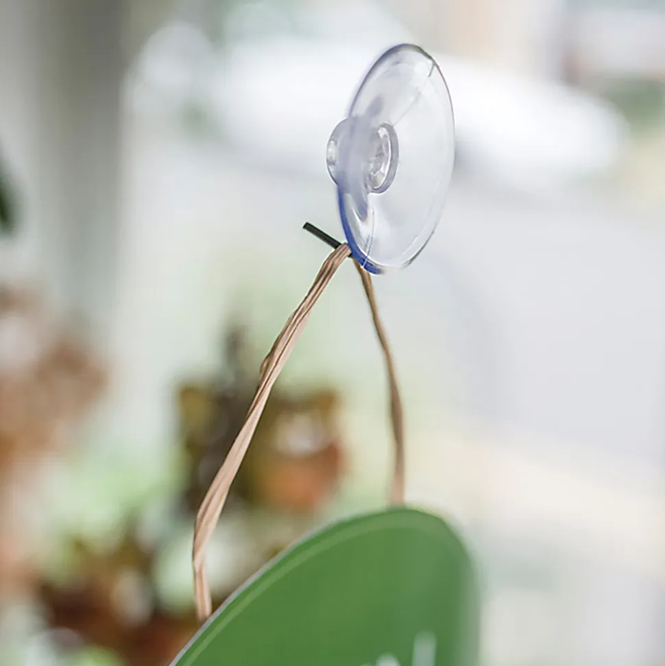 Deflecto® Suction Cups With Hook, 1 3/4", Clear, Pack Of 25