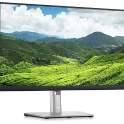 Dell P2423D 24