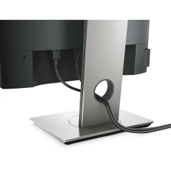 Dell® P1917S 19